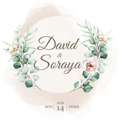 David y Soraya